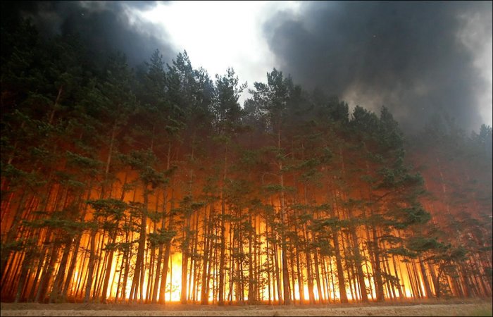 Российские пожары (35 фото)