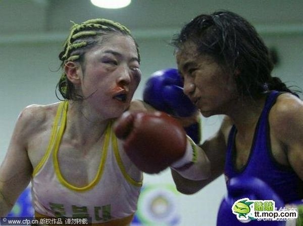 Девушки боксируют (12 фото)