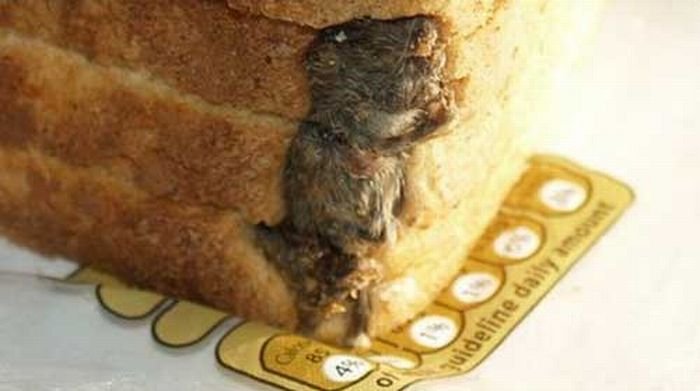 Сюрприз в буханке хлеба (3 фото)
