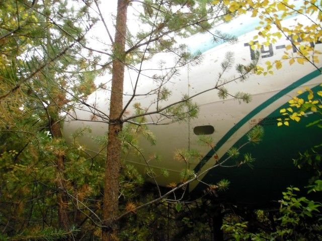 Посадка Ту-154М в тайге (14 фото + текст)