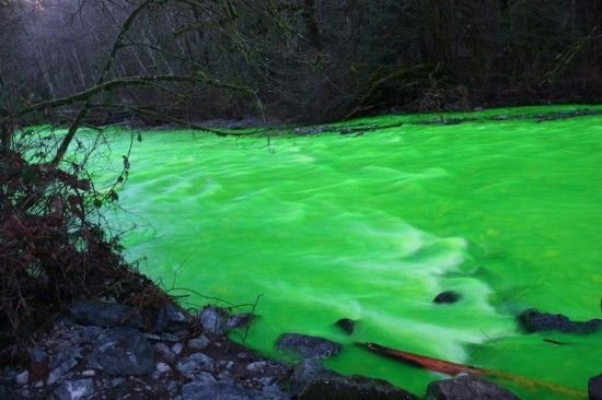 Зеленая река в Канаде (6 фото)