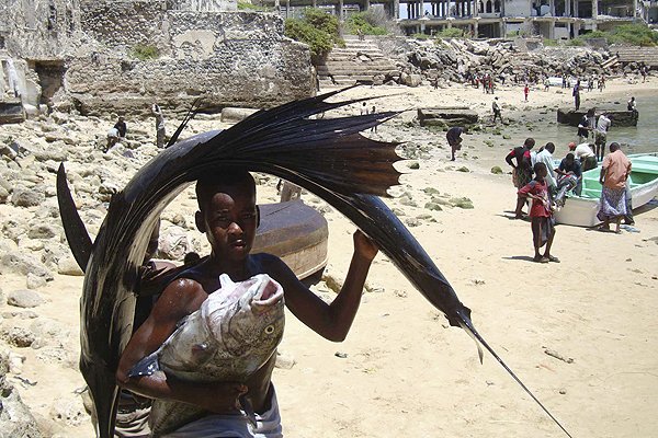 Рыбалка с Сомали (30 фото)