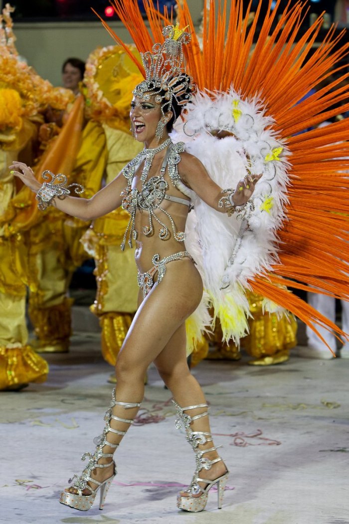 Карнавал в Рио-де-Жанейро 2011 (20 фото)