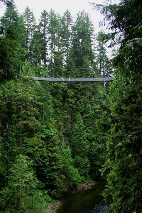 Очень длинный подвесной мост (22 фото)