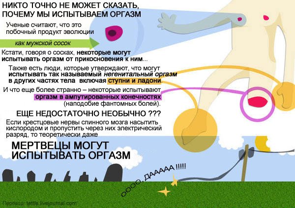 Интересные факты об оргазмах (4 фото)