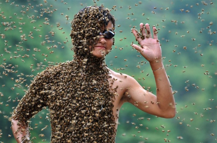 На ком больше пчел (6 фото)
