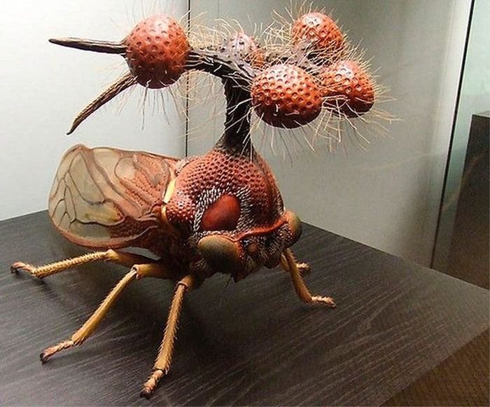 Самое необычное насекомое в мире (20 фото)
