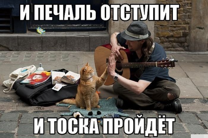 http://zagony.ru/admin_new/foto/2012-10-12/1350038288/zagonnye_komiksy_30_foto_11.jpg