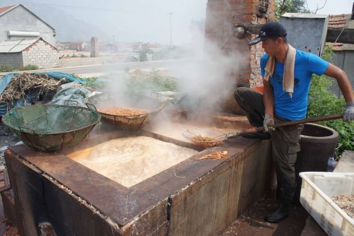 Как заготавливают креветки в Китае (8 фото)