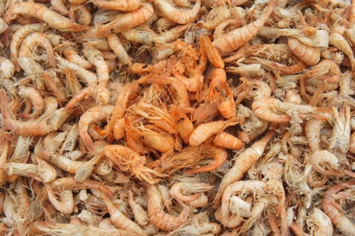 Как заготавливают креветки в Китае (8 фото)