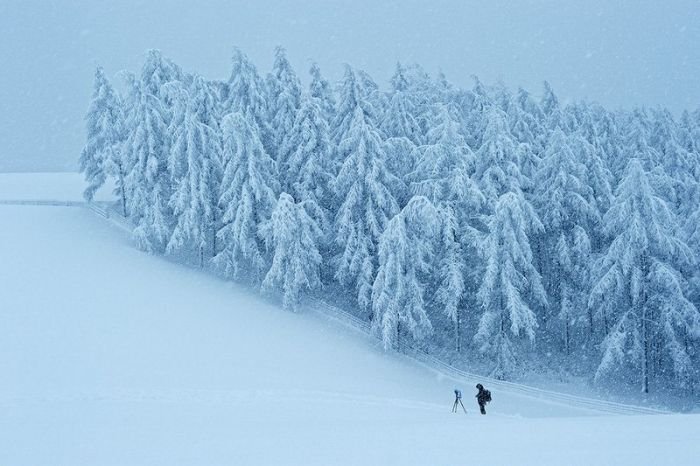 Фотоподборка пятницы (89 фото)