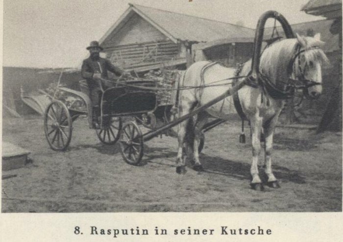Распутин (18 фото)