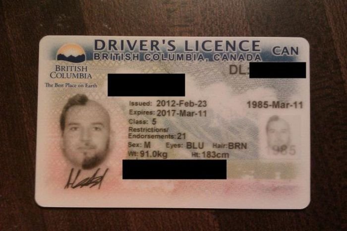 Оригинальная фотография на водительские права (10 фото)