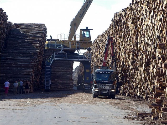 Самое большое хранилище древесины в мире (6 фото)