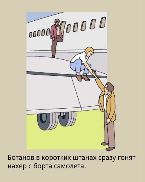 Правила поведения в самолете (18 фото)