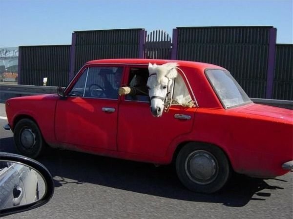 Машина с лошадкой (4 фото)