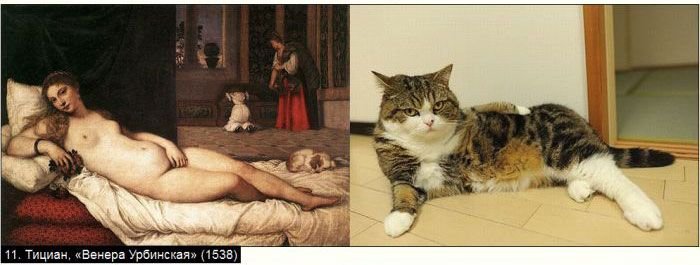Коты в искусстве (21 фото)
