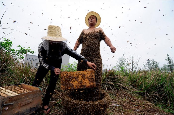 330 тысяч пчел на теле (3 фото)