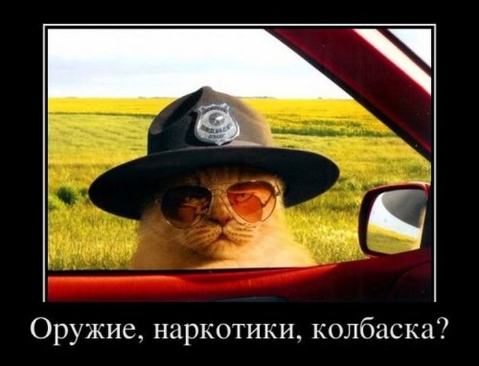 http://zagony.ru/admin_new/foto/2012-4-25/1335325437/demotivatory_na_sredu_31_foto_31.jpg
