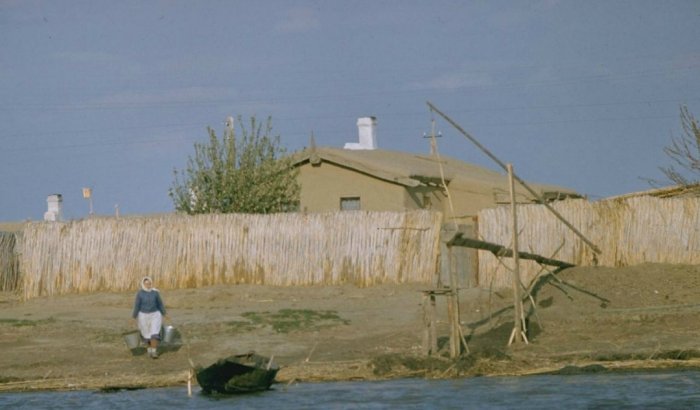 Добыча черной икры в 1960 году (20 фото)