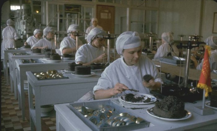 Добыча черной икры в 1960 году (20 фото)