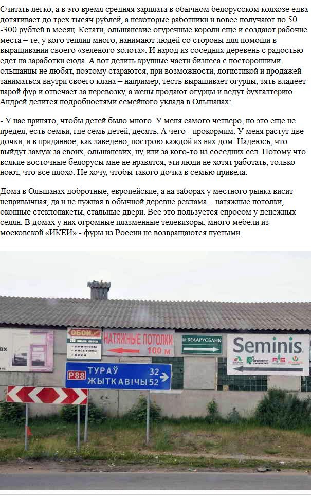 Огуречный бизнес по-белоруски (6 фото)