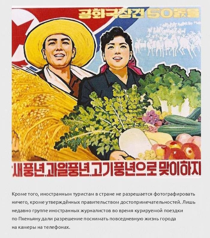 Факты о жизни в Северной Корее (10 фото)