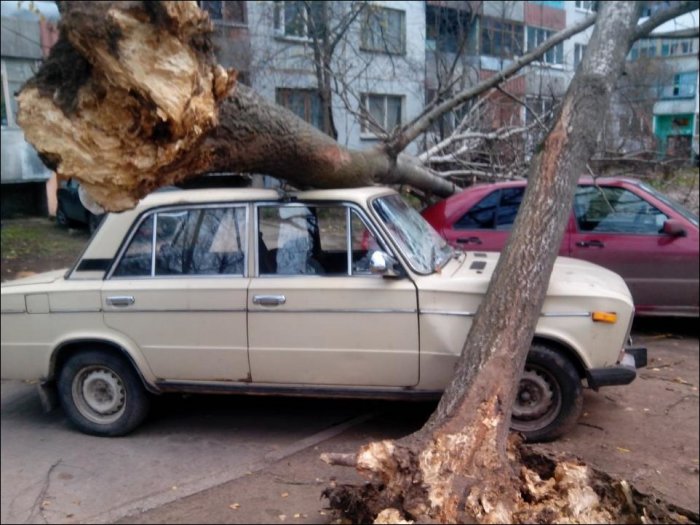 После шторма в Псковской области (13 фото)