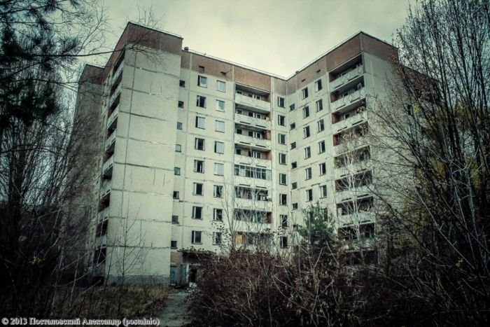 Чернобыльская зона в разное время года (56 фото)