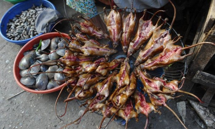Неприятный вьетнамский деликатес (25 фото)