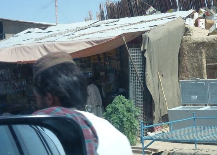 Обычный рынок в Афганистане (3 фото)