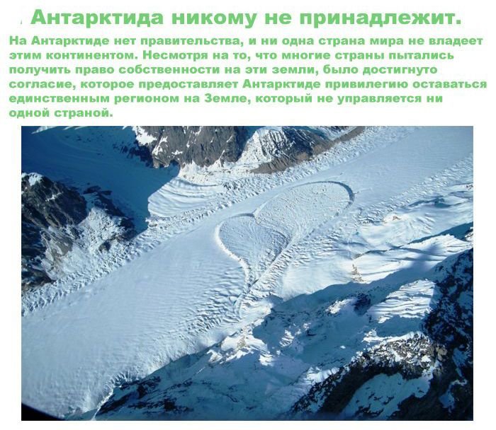 Факты об Антарктиде (11 фото)
