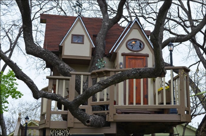 Классный домик на дереве (13 фото)