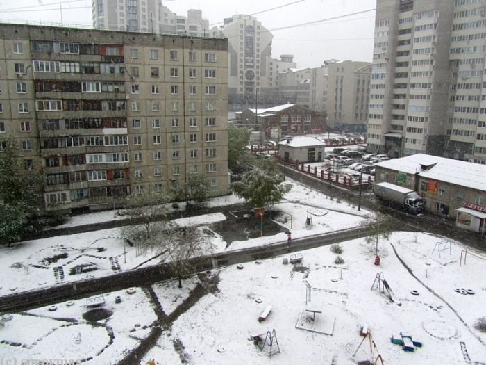 В Алтайский край вернулась зима (11 фото)
