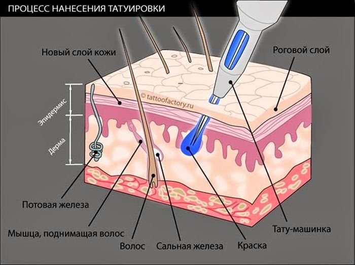 Фотоподборка четверга (124 фото)