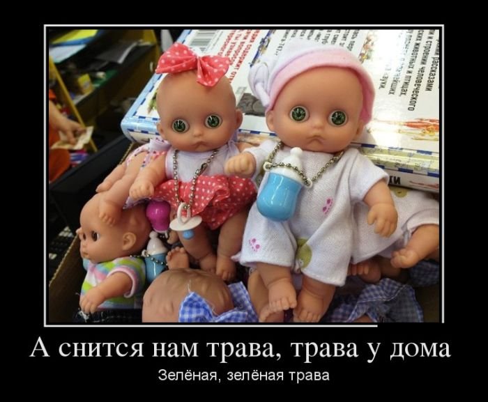 http://zagony.ru/admin_new/foto/2013-8-29/1377765221/demotivatory_na_chetverg_30_foto_0.jpg