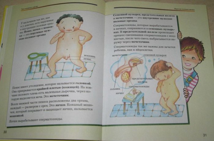 Детская книжка о сексе (6 фото)