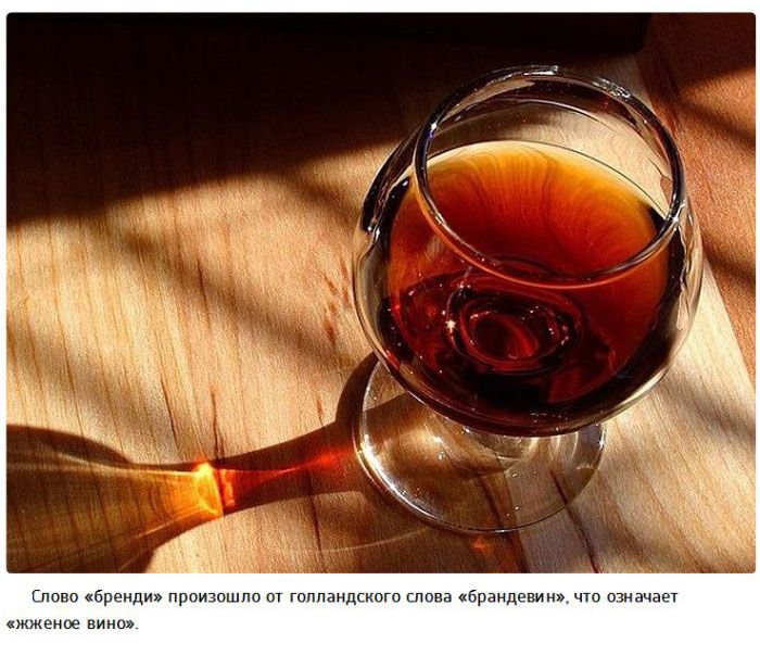 Факты об алкоголе (25 фото)