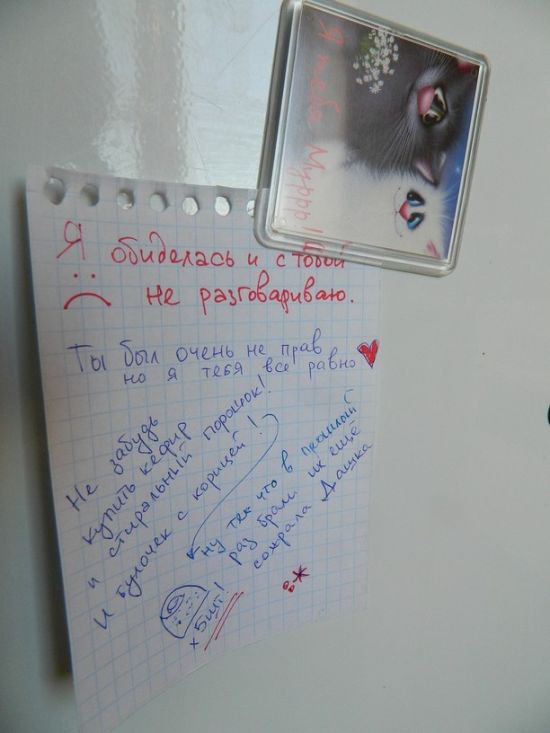 Надписи на холодильниках (24 фото)