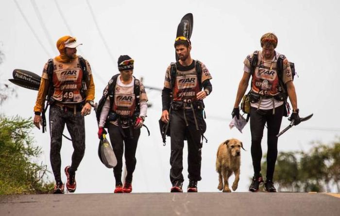 Бездомная собака подружилась со спортсменами (20 фото)