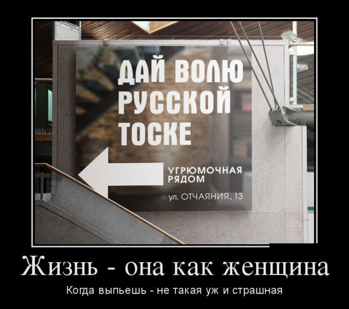 http://zagony.ru/admin_new/foto/2014-11-28/1417159472/demotivatory_na_pjatnicu_30_foto_24.jpg