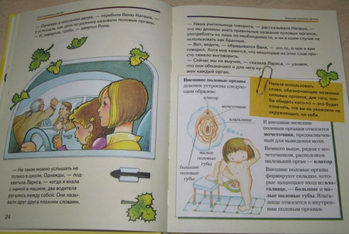 Сексуальное воспитание детей во втором классе (4 фото)