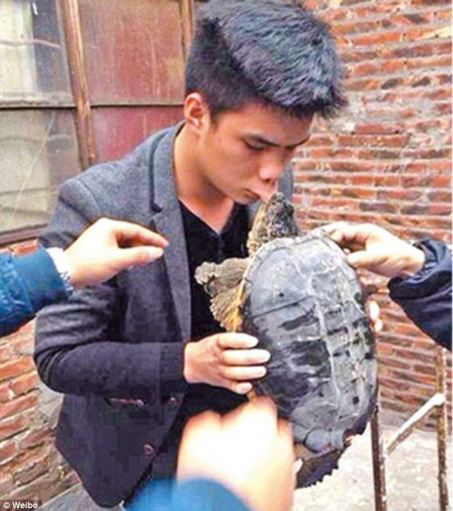 Не стоит целовать черепаху (2 фото)