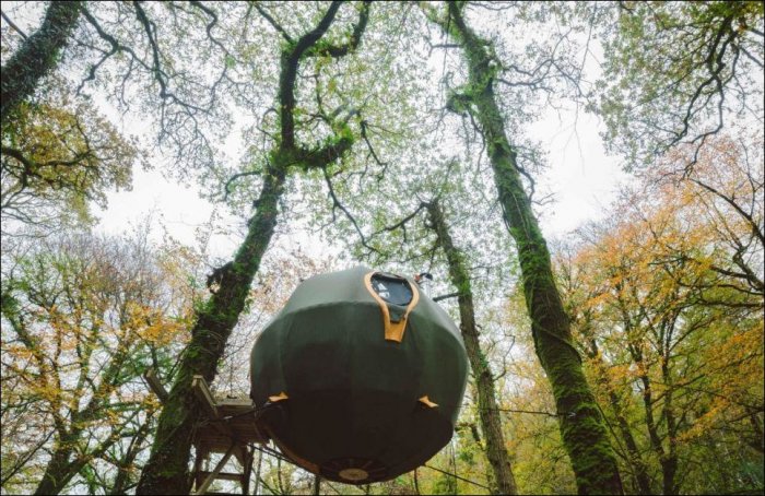 Подвесная палатка в лесу (7 фото)