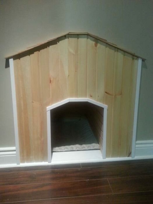 Необычный домик для собаки (22 фото)