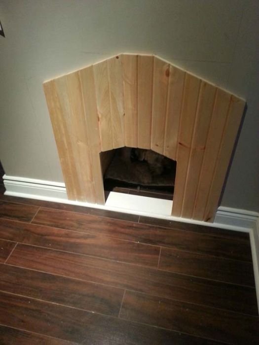 Необычный домик для собаки (22 фото)