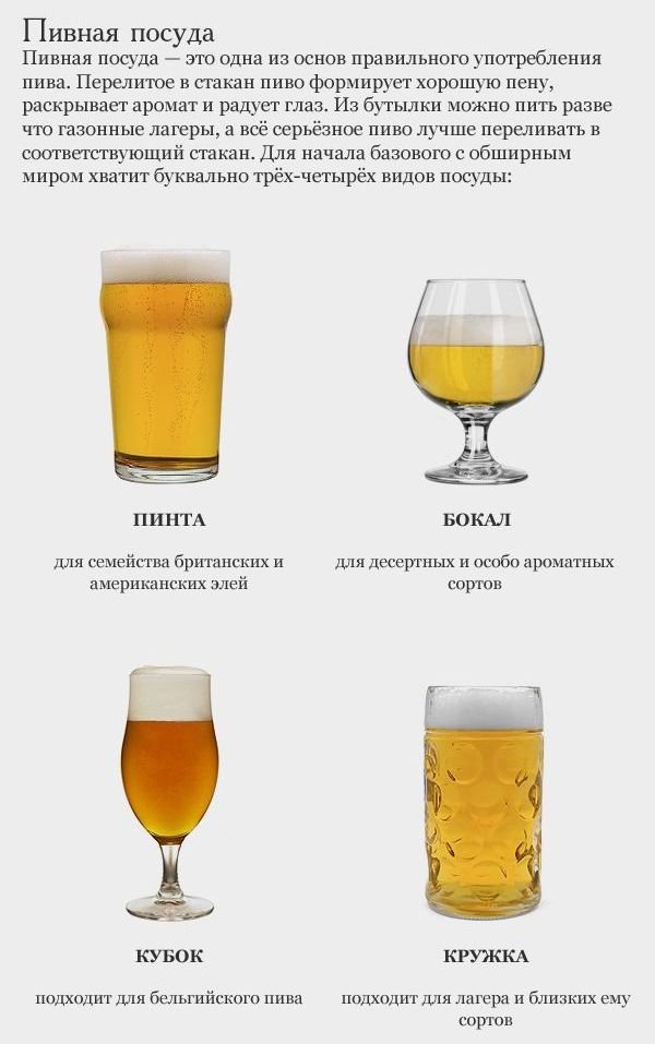 Как научиться разбираться в пиве (17 фото)