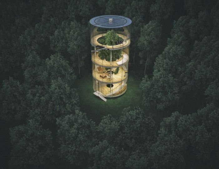 Стеклянный дом в лесу (6 фото)