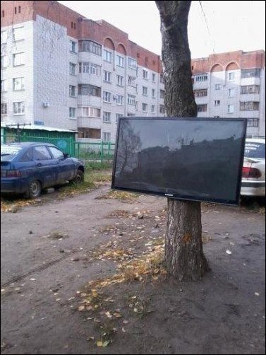 Только в России (53 фото)