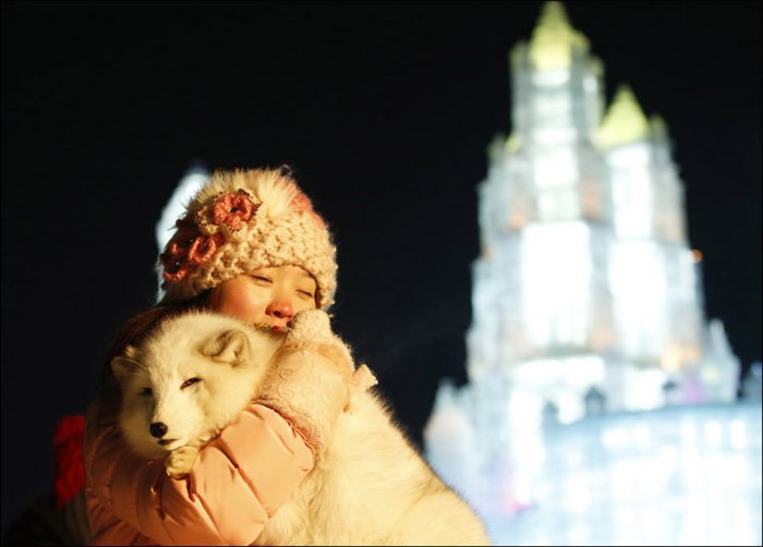 Фестиваль льда в Харбине 2015 (23 фото)